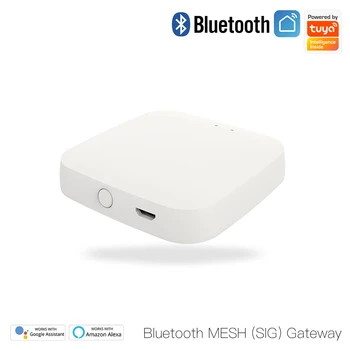 Sasha Bluetooth Gateway Хъб Безжична Smart SIG Мрежа WiFi приложение Smart Life дистанционно управление на Работата с Алекса Google Home Smart home