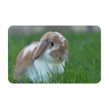 Кафяво и бяло холандски вислоухий заек, жующий трева 3D мек нескользящий подложка за краката Holland Наклонен Rabbit Кафяво и