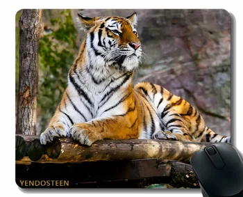 Персонализирана подложка за мишка, която се намира тигрови predator Big Cat 112424 Подложка за мишка с прошитыми ръбове